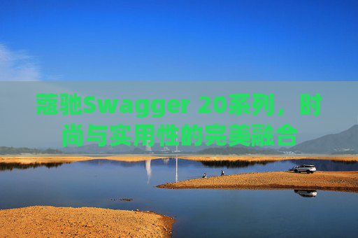 蔻驰Swagger 20系列,时尚与实用性的完美融合 蔻驰Swagger 20系列,时尚与实用性的完美融合